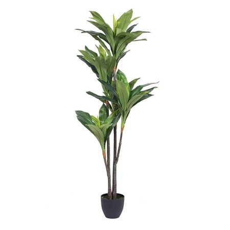 Dare2Decor Real Touch Dracaena X5 Everyday Tree with 68 LVS in - 60 in. DA1634455